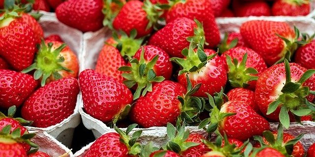 strawberries.jpeg